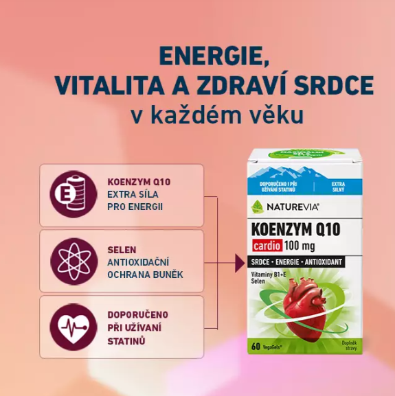 Snímek obrazovky 2025-07-24 102410